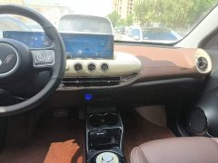 Wuling Binguo 333km Joy Edition - ფოტო 9
