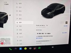 Tesla Model Y Standard Range RWD - ფოტო 8