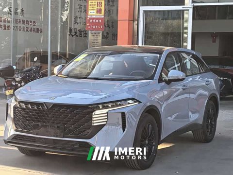 2024 Nissan Qichen Dà V 2023 260T Idol Edition Pro - ავტომობილი ჩინეთიდან