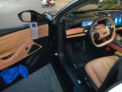 Geely Galaxy Xingyao 8 130km EM-i Flagship - ფოტო 14
