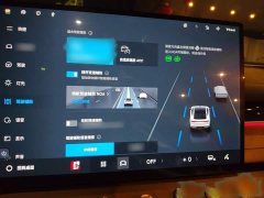 Geely Galaxy Xingyao 8 130km EM-i Flagship - ფოტო 19