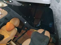 Geely Galaxy Xingyao 8 130km EM-i Flagship - ფოტო 9
