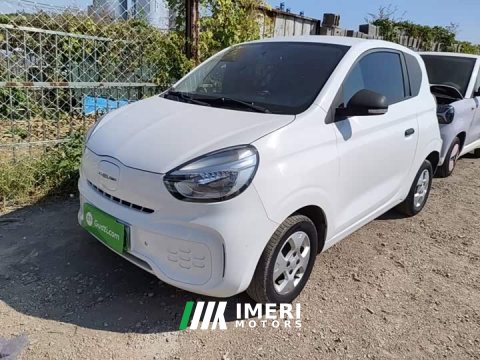 2021 SAIC Corey Wei CLEVER 302km All-Purpose Edition - ავტომობილი ჩინეთიდან