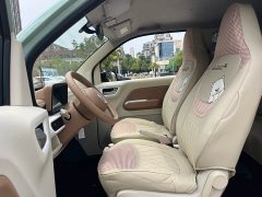 Wuling Hongguang MINIEV 2024 Third Generation 215km Youth Edition - ფოტო 11