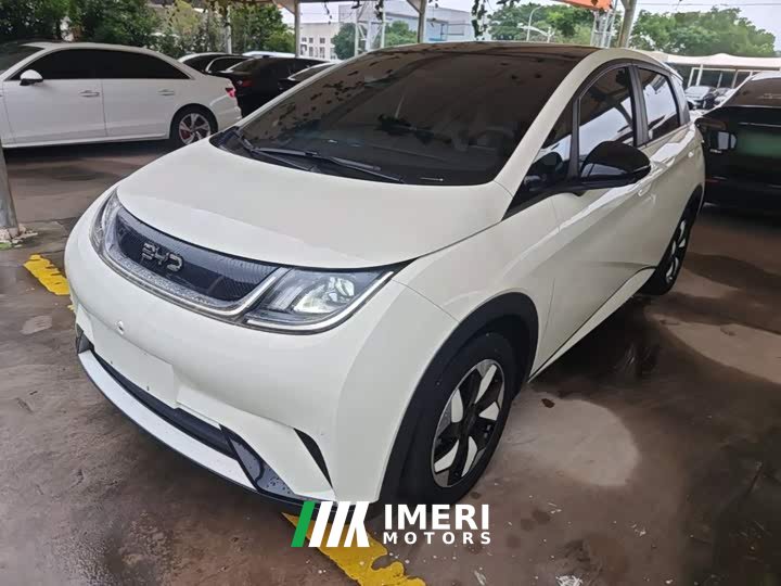 BYD Dolphin 2025 420km Fashion Edition - ავტომობილი ჩინეთიდან