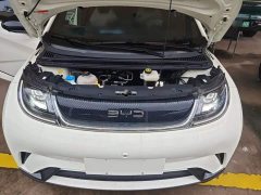 BYD Dolphin 2025 420km Fashion Edition - ფოტო 16
