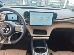 BYD Dolphin 2025 420km Fashion Edition - ფოტო 9