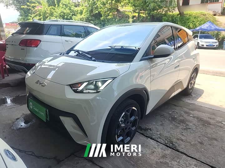 BYD Seagull Glory Edition 305km Freedom Version - ავტომობილი ჩინეთიდან