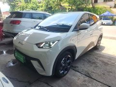 BYD Seagull Glory Edition 305km Freedom Version - ფოტო 1