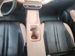 BYD Seagull Glory Edition 305km Freedom Version - ფოტო 10