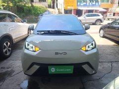 BYD Seagull Glory Edition 305km Freedom Version - ფოტო 3