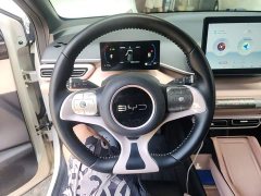 BYD Seagull Glory Edition 305km Freedom Version - ფოტო 7