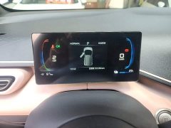 BYD Seagull Glory Edition 305km Freedom Version - ფოტო 8