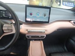 BYD Seagull Glory Edition 305km Freedom Version - ფოტო 9