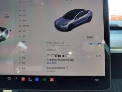 Tesla Model 3 Standard Range RWD Upgrade 3D6 - ფოტო 12