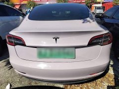 Tesla Model 3 Standard Range RWD Upgrade 3D6 - ფოტო 6