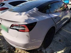 Tesla Model 3 Standard Range RWD Upgrade 3D6 - ფოტო 7