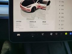 Tesla Model 3 2022 Rear-Wheel Drive - ფოტო 12