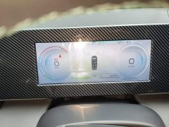 BYD Qin L DM-i 120KM Leading Edition - ფოტო 8