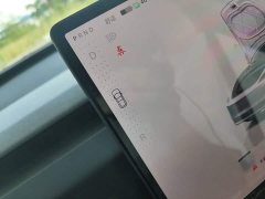 Tesla Model 3 Rear-Wheel Drive - ფოტო 14