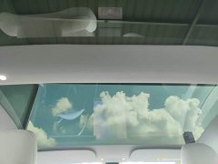 Tesla Model 3 Rear-Wheel Drive - ფოტო 18