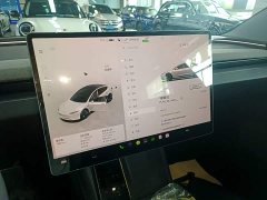 Tesla Model 3 Rear-Wheel Drive - ფოტო 13