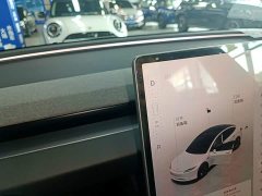 Tesla Model 3 Rear-Wheel Drive - ფოტო 14