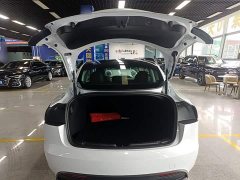 Tesla Model 3 Rear-Wheel Drive - ფოტო 19