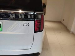 Zeekr Geely Zeekr 009 2022 Facelift WE Edition - ფოტო 8