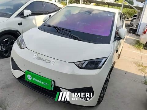 2025 BYD Seagull Smart Driving Edition 305km Freedom Edition - ავტომობილი ჩინეთიდან