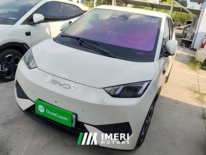 BYD Seagull Smart Driving Edition 305km Freedom Edition