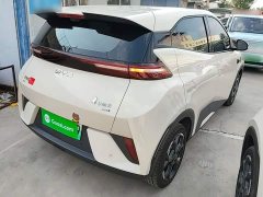 BYD Seagull Smart Driving Edition 305km Freedom Edition - ფოტო 5