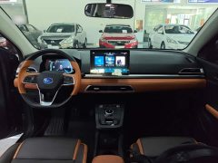 BYD e2 2020 Upgrade Edition Standard Range Comfort - ფოტო 10