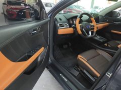 BYD e2 2020 Upgrade Edition Standard Range Comfort - ფოტო 16