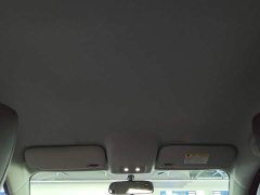 BYD e2 2020 Upgrade Edition Standard Range Comfort - ფოტო 18