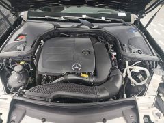 Mercedes-Benz E-Class E 300 L AMG Sport Luxury - ფოტო 20