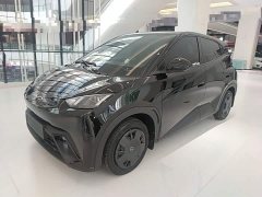 BYD Seagull 2023 Vitality Edition - ფოტო 1