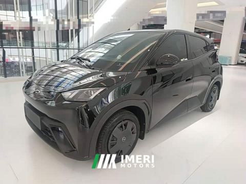 2024 BYD Seagull Vitality Edition