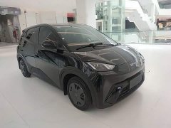 BYD Seagull 2023 Vitality Edition - ფოტო 4