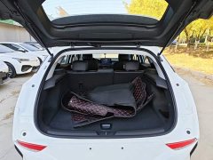 Buick Weilan 6 430km Comfort Edition - ფოტო 19