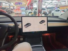 Tesla Model 3 2022 Performance All-Wheel Drive - ფოტო 10