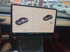Tesla Model 3 2022 Performance All-Wheel Drive - ფოტო 13
