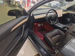 Tesla Model 3 2022 Performance All-Wheel Drive - ფოტო 16