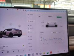 Nio Lerado L60 60kWh Rear-Wheel Drive - ფოტო 5