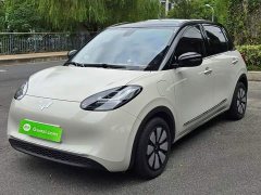 Wuling Binguo 410km Lingxi Premium Edition - ფოტო 1