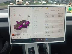 Tesla Model 3 2023 Rear-Wheel Drive - ფოტო 12