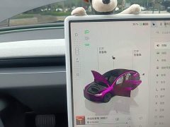 Tesla Model 3 2023 Rear-Wheel Drive - ფოტო 14