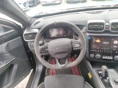 Lynk & Co Geely Lynk & Co 03 2022 03 2.0T Automatic Wind Control Edition - ფოტო 11