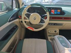 ORA Good Cat 401km Standard Range Deluxe LFP - ფოტო 11