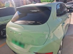 ORA Good Cat 401km Standard Range Deluxe LFP - ფოტო 6